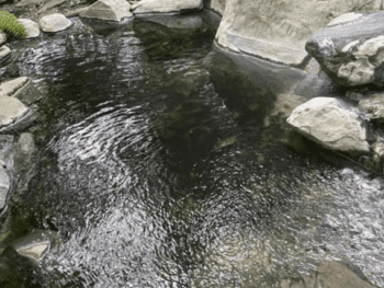Olympic Hot Springs