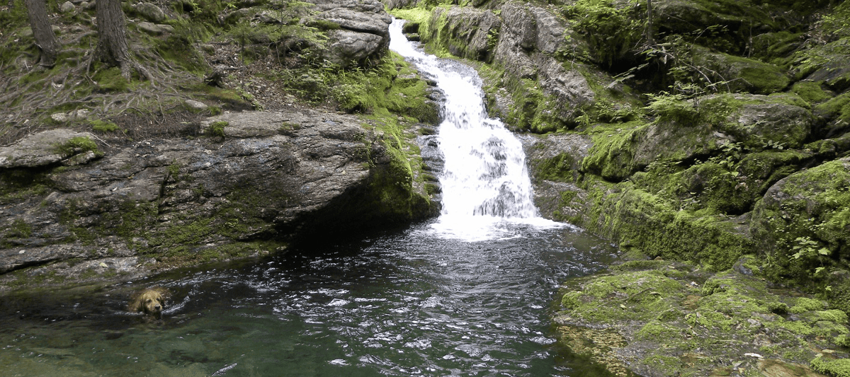 Rattlesnake Pool - Maine