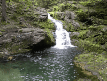 Rattlesnake Pool - Maine
