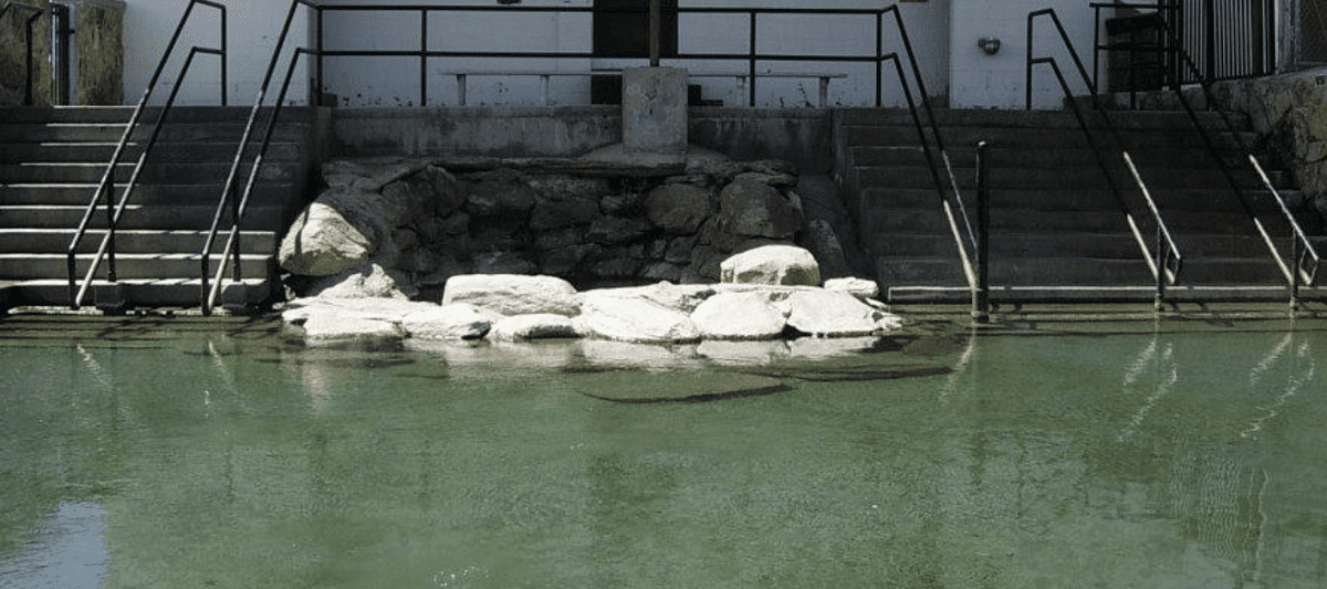 Saratoga Hobo Hot Springs