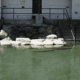Saratoga Hobo Hot Springs