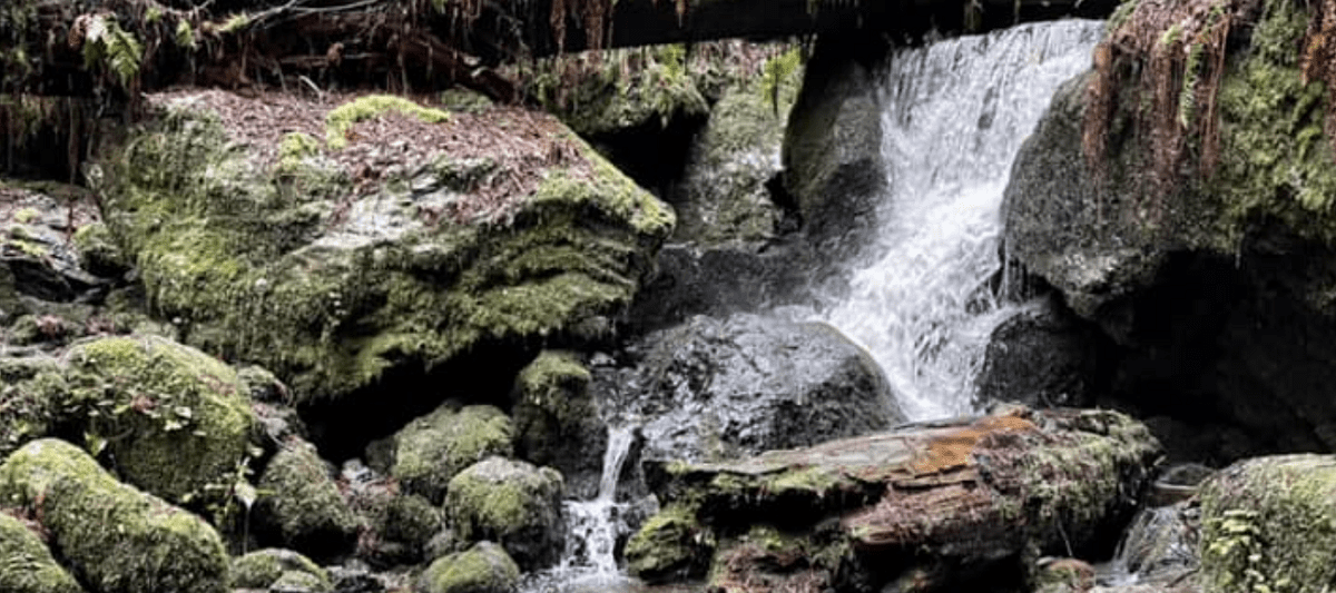 Trillium Falls