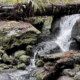 Trillium Falls