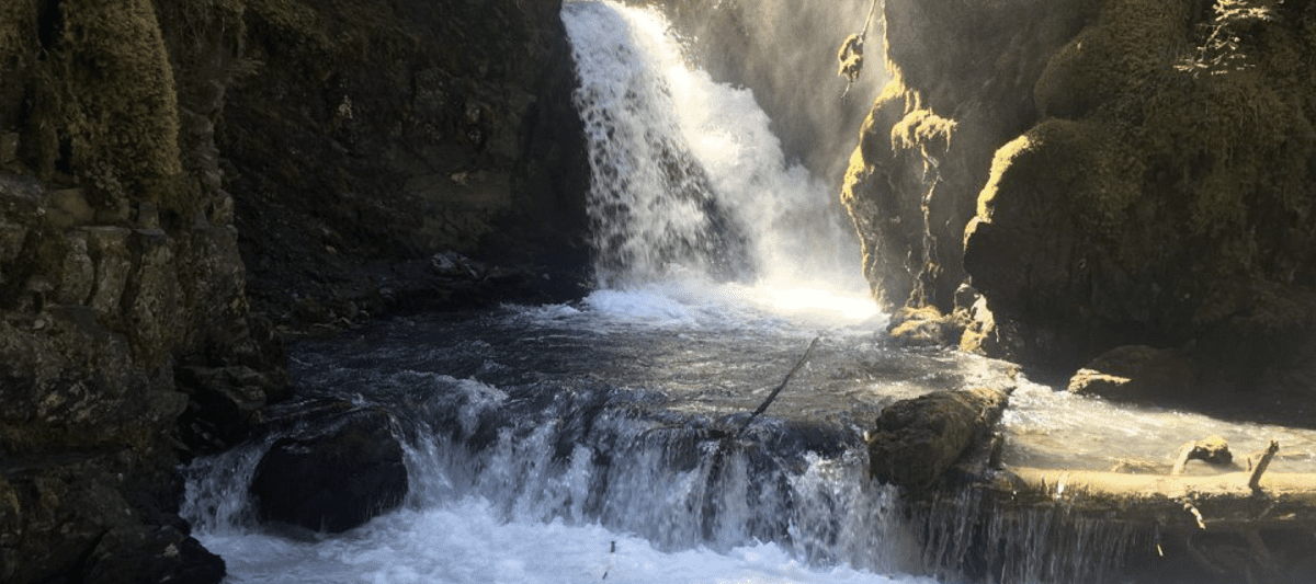 Virgin Creek Falls