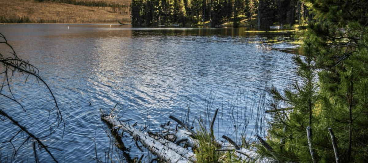 Warm Lake Idaho