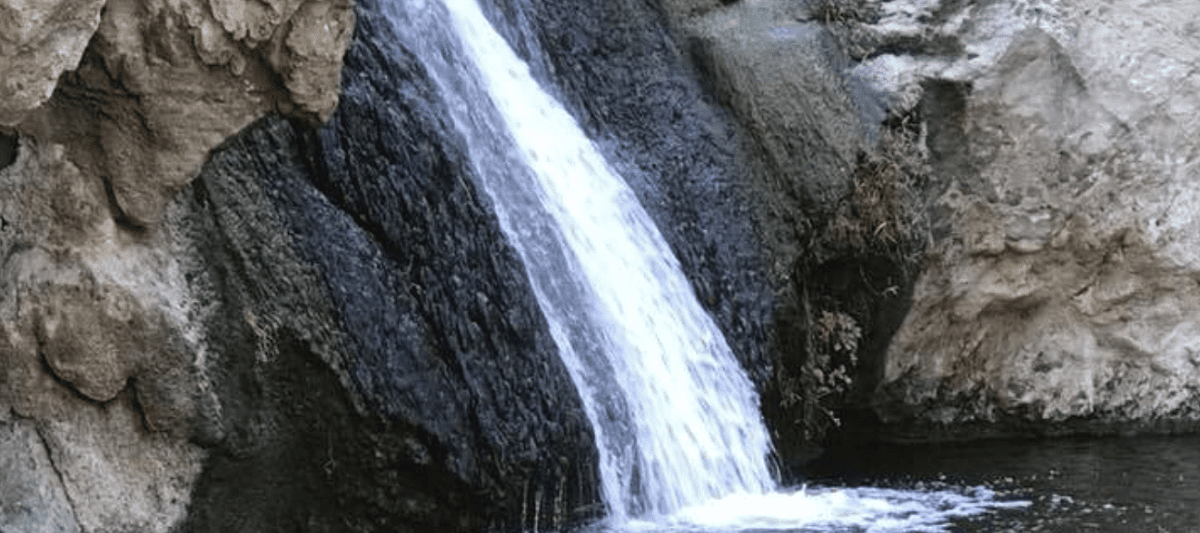 Wildwood Waterfall