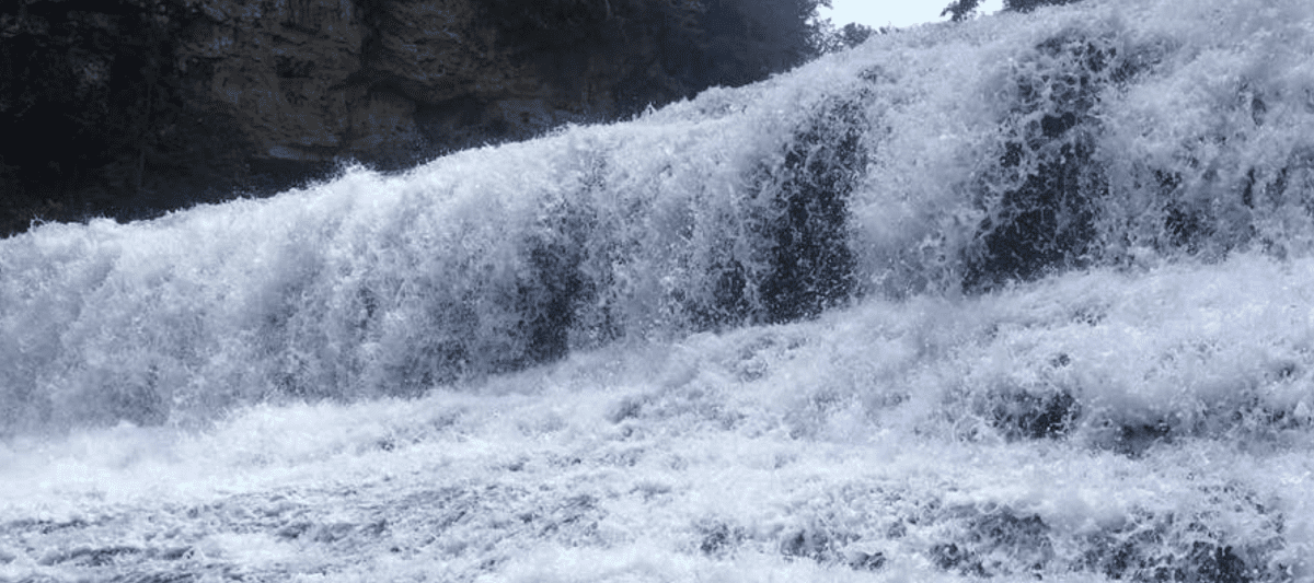 Willow Falls