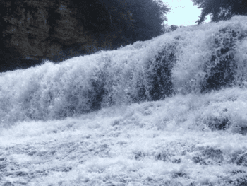Willow Falls