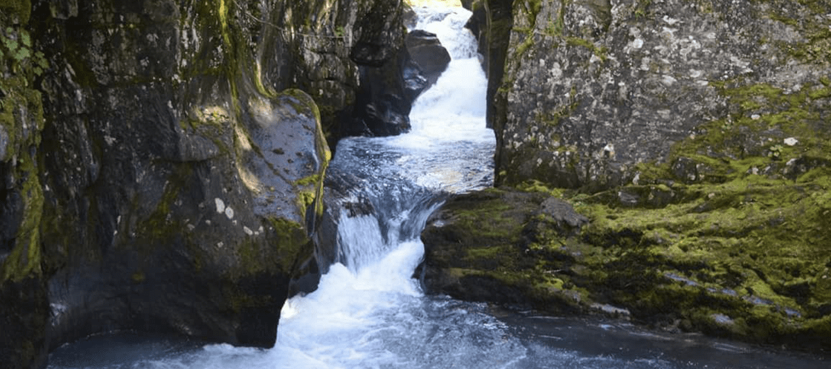 Winner Creek Falls
