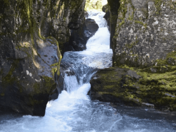Winner Creek Falls